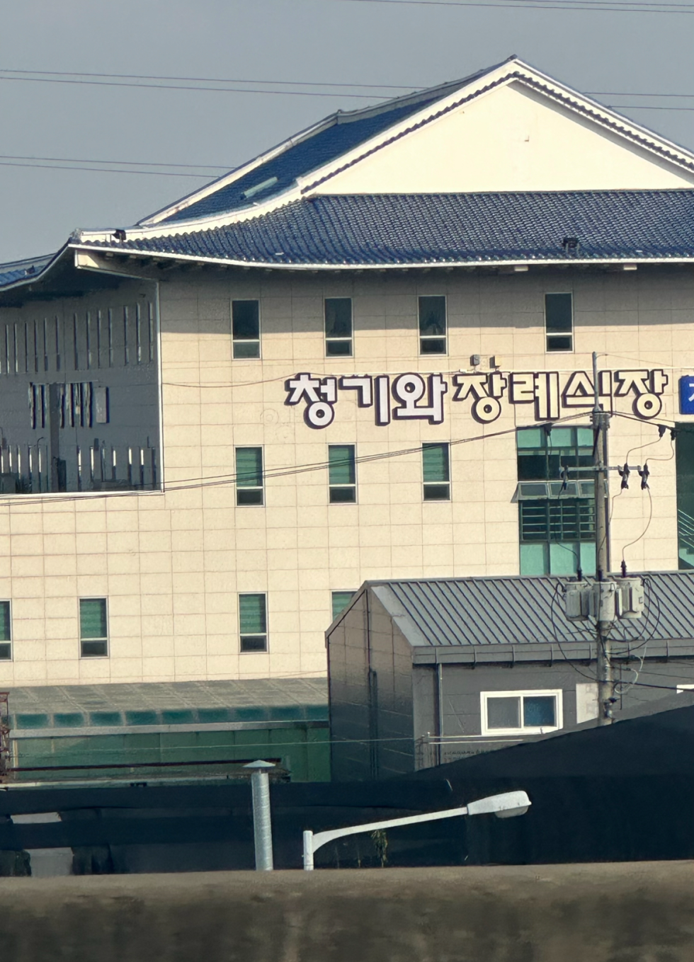 최근 사진 보기 39.png